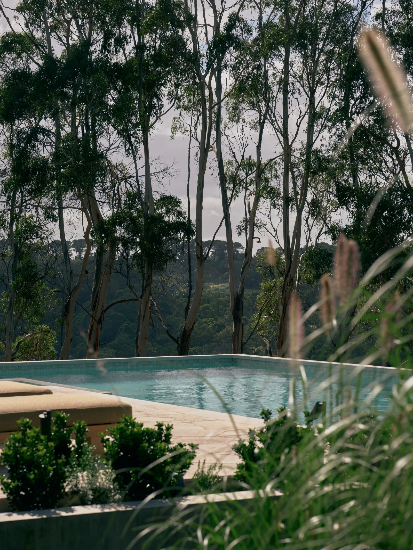 The Farm, Shoreham. Pool seen through the gums.